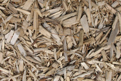 biomass boilers Gelligaer